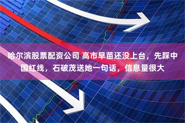 哈尔滨股票配资公司 高市早苗还没上台，先踩中国红线，石破茂送她一句话，信息量很大