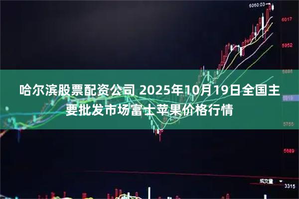 哈尔滨股票配资公司 2025年10月19日全国主要批发市场富士苹果价格行情