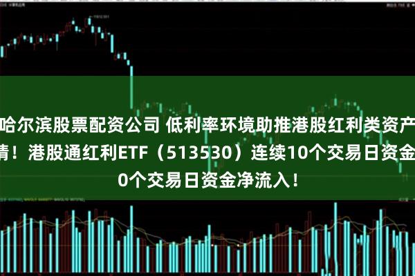 哈尔滨股票配资公司 低利率环境助推港股红利类资产投资热情！港股通红利ETF（513530）连续10个交易日资金净流入！
